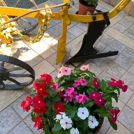 Kuca Za Odmor Birko * ムクロパイ