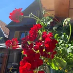 Kuca Za Odmor Birko Villa
