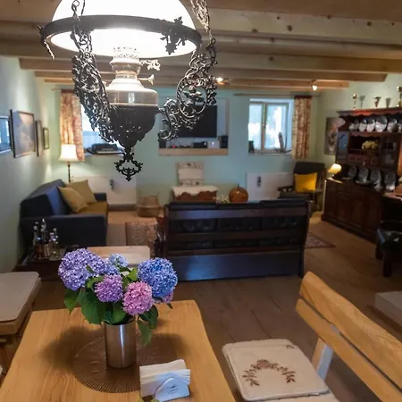 Spacious Montain House With Amenities, Close To The Seaside Mrkopalj