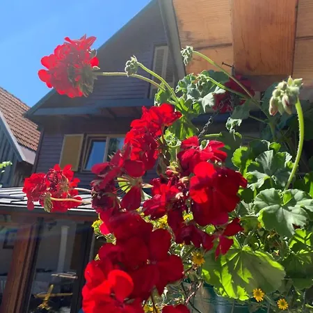 Kuca Za Odmor Birko 别墅