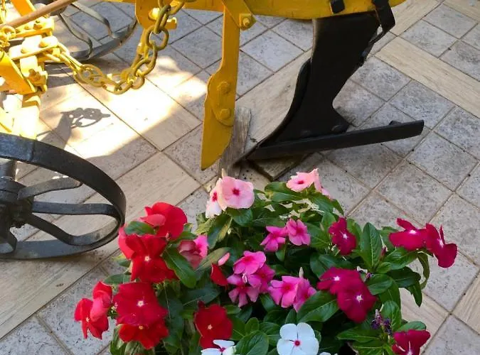 Kuca Za Odmor Birko * ムクロパイ